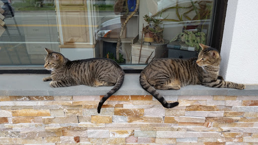 Comic Book Store «3rd Universe Comic Emporium», reviews and photos, 35 N Riverside Ave, Croton-On-Hudson, NY 10520, USA