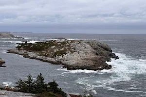 Polly Cove Trail image