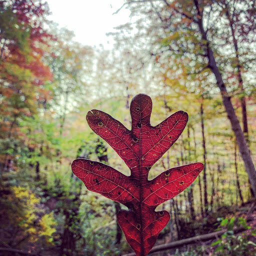 Park «Gorge Metro Park», reviews and photos, 1160 Front St, Cuyahoga Falls, OH 44223, USA