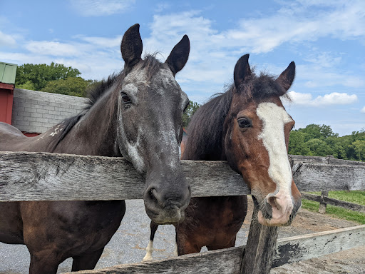 Farm «Clarks Elioak Farm LLC», reviews and photos, 10500 Clarksville Pike, Ellicott City, MD 21042, USA