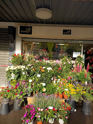HILARIA FLEURS à Argenteuil