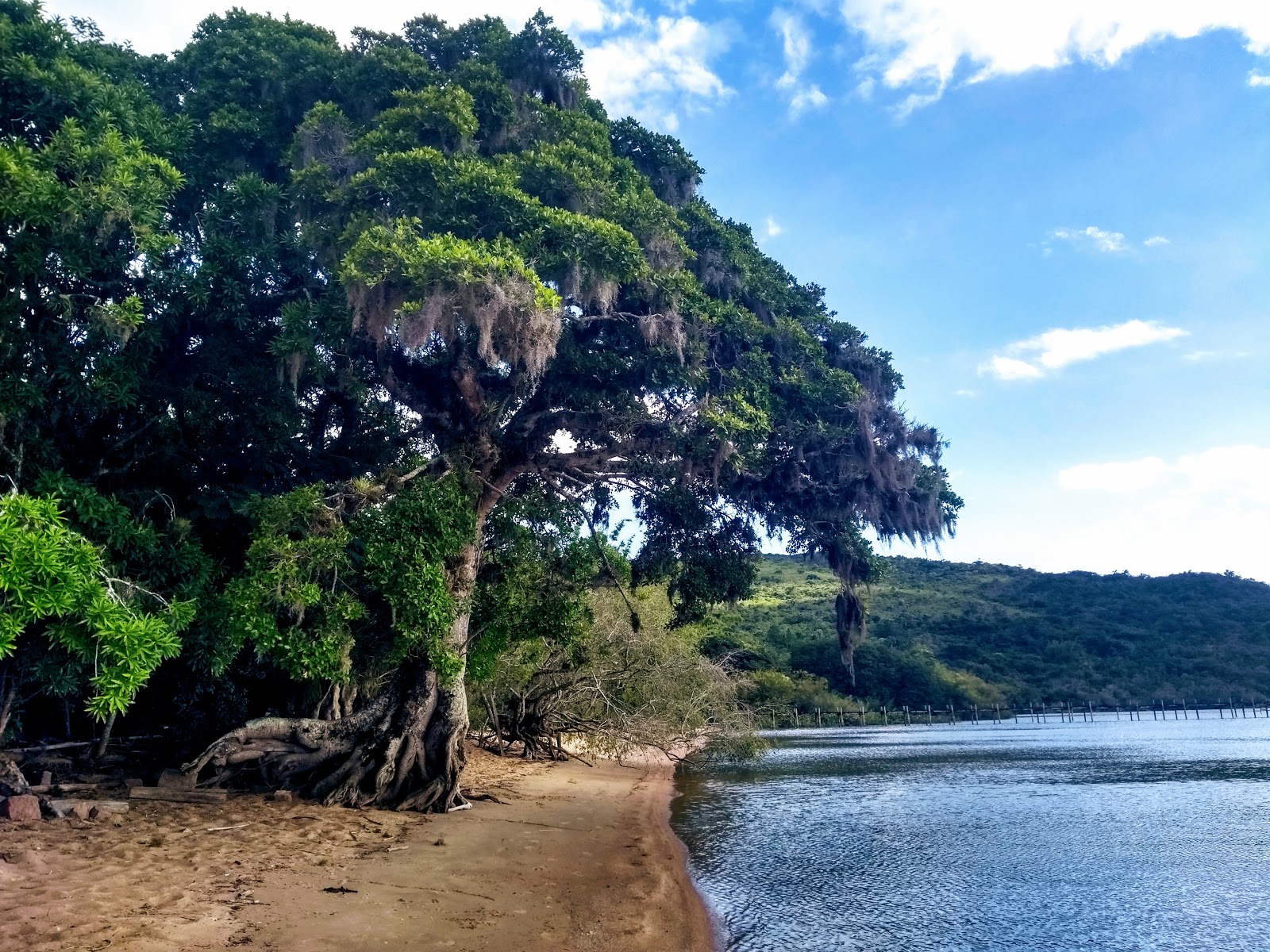 Praia das Pombas'in fotoğrafı - rahatlamayı sevenler arasında popüler bir yer