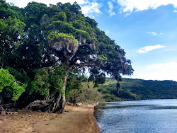 Praia das Pombas'in fotoğrafı - rahatlamayı sevenler arasında popüler bir yer