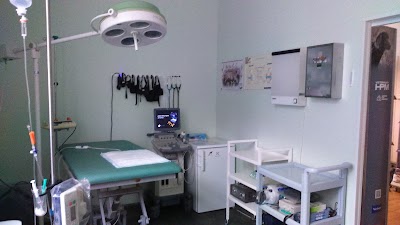 Photos of Pae Animal Clinic Ltd