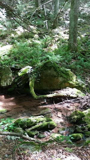 Painter Run Trail - photo 15
