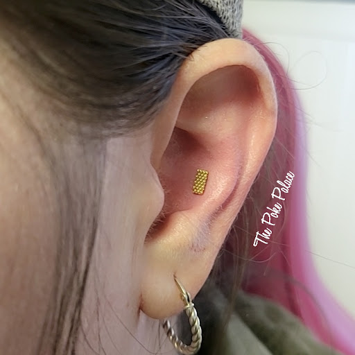 Explore seagull tattoo ideas, creative tattoo ideas in Sheridan, available at The Poke Palace