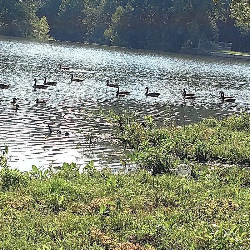 Winston Lake Park