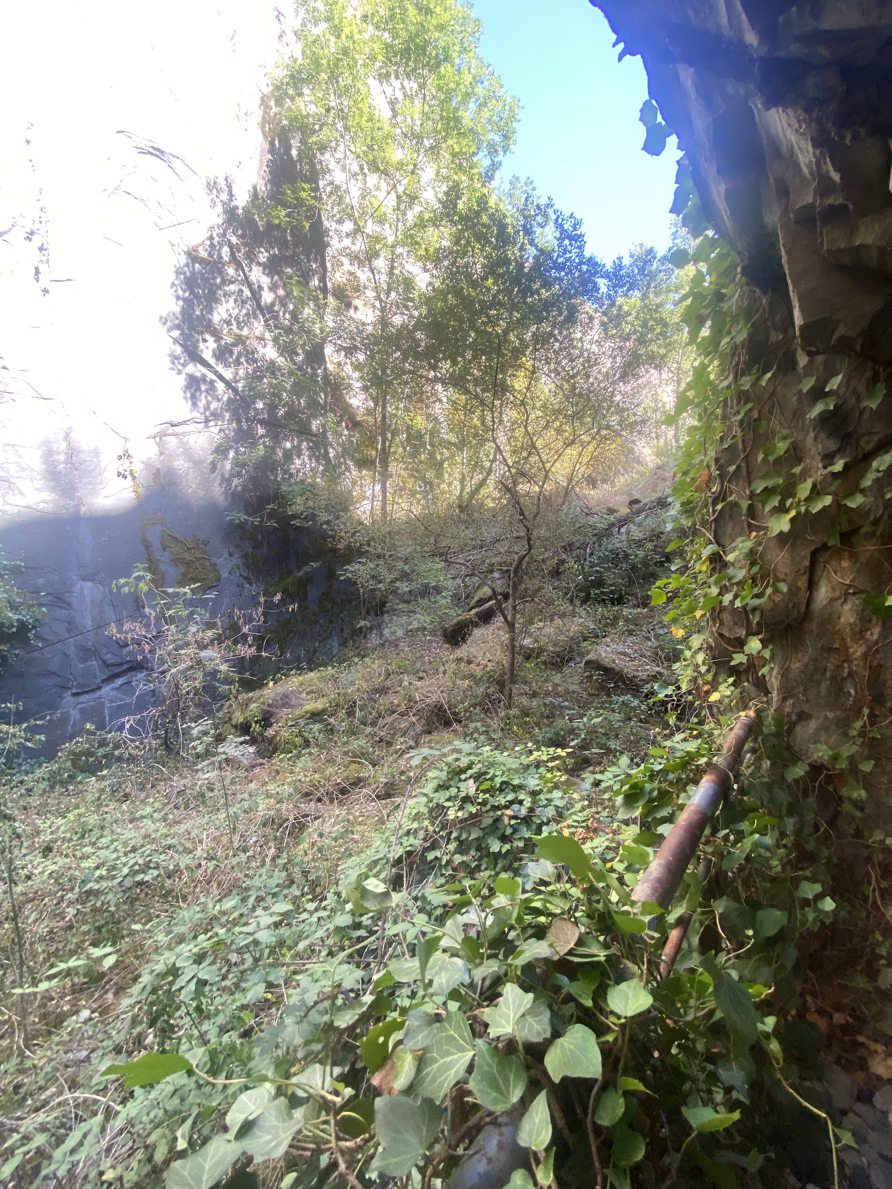 Photo n° 1 de l'avis de CONSTANTINI.x fait le 06/08/2022 à 15:43