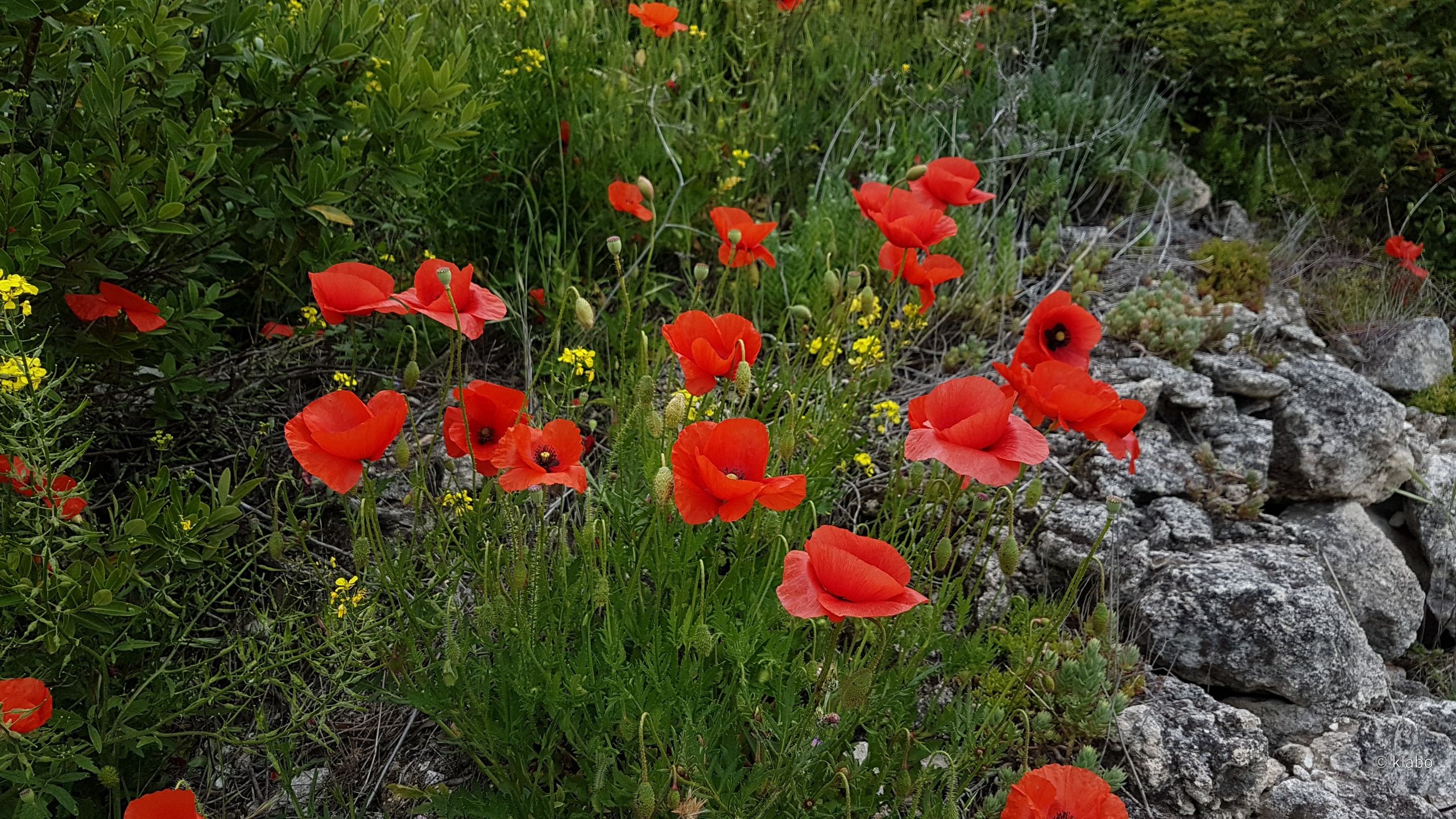 Photo n° 2 de l'avis de Kla.o fait le 01/06/2018 à 19:10