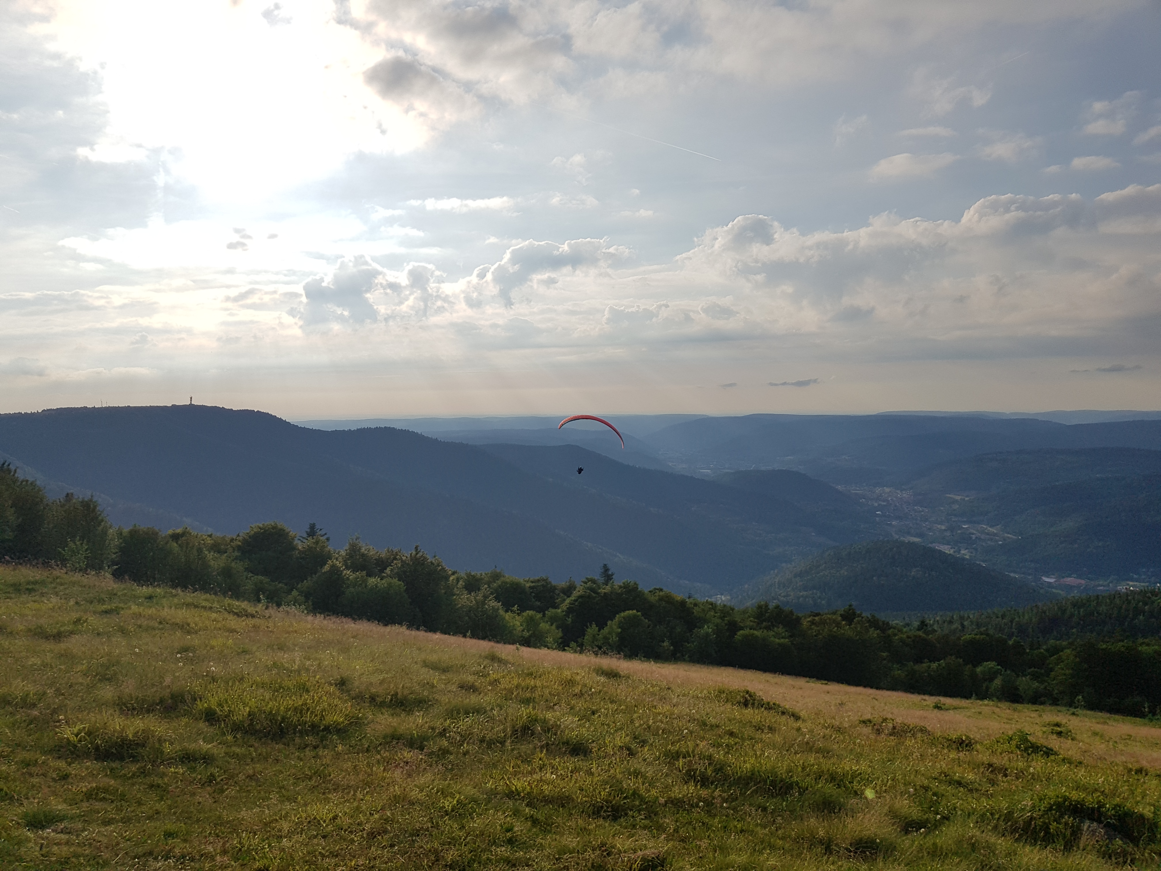 Photo n° 2 de l'avis de Ronny.r fait le 08/07/2019 à 20:16