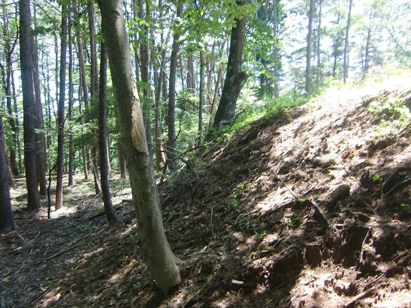 武居城跡森林公園