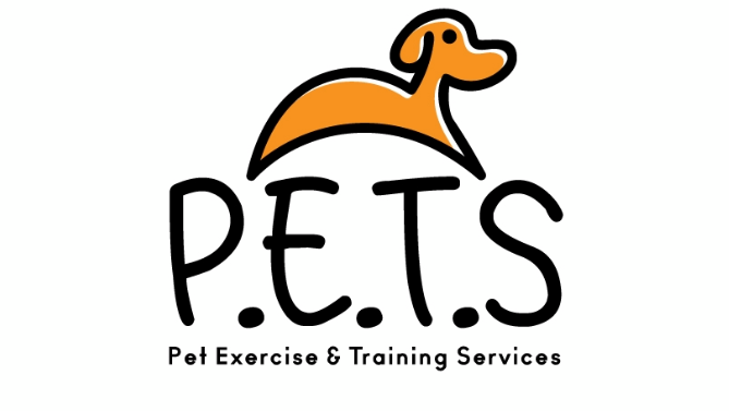 Pet Exercise & Training Services