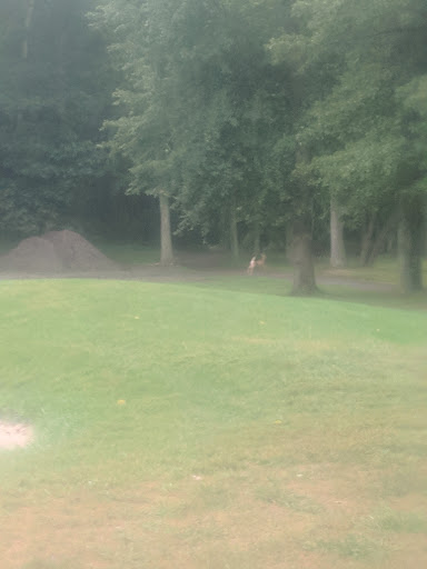 Golf Course «Pine Brook Golf Course», reviews and photos, 1 Covered Bridge Blvd, Manalapan Township, NJ 07726, USA