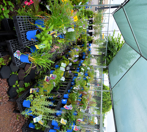 Hardware Store «Renco Ace Hardware», reviews and photos, 2251 Columbia Blvd, Bloomsburg, PA 17815, USA