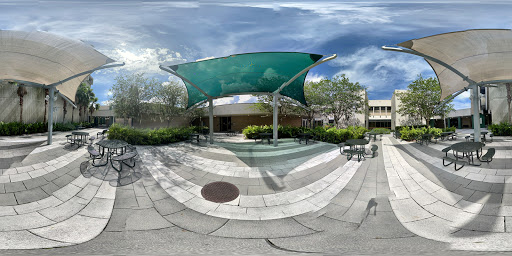 University of South Florida College of Nursing