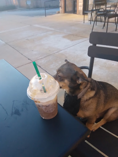 Coffee Shop «Starbucks», reviews and photos, 5002 Main St #3, Downers Grove, IL 60515, USA