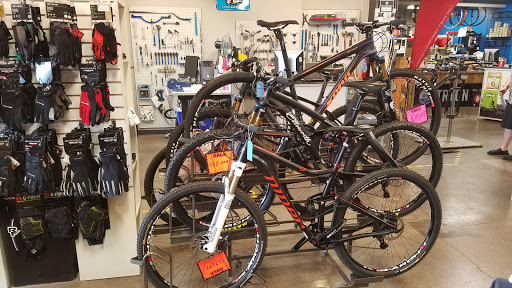 Bicycle Store «Tryon Bike», reviews and photos, 80 Rockwood Pl Suite 112, Rochester, NY 14610, USA