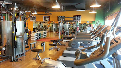 In Shape Ladies Fitness Club - Al Joud Centre - 33 Sheikh Zayed Rd - Al Quoz - Dubai - United Arab Emirates
