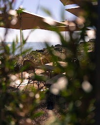 Photo n°97 de Coco à Batz-sur-Mer ()