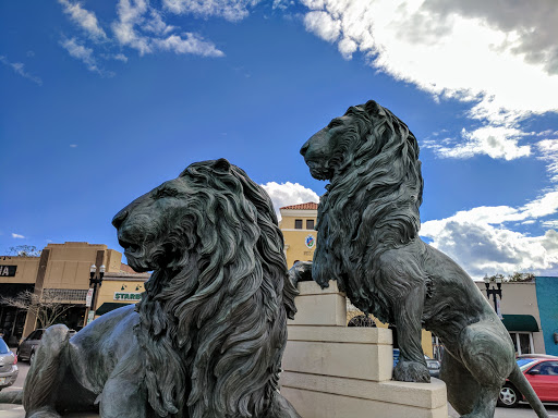 Book Store «San Marco Bookstore», reviews and photos, 1971 San Marco Blvd, Jacksonville, FL 32207, USA