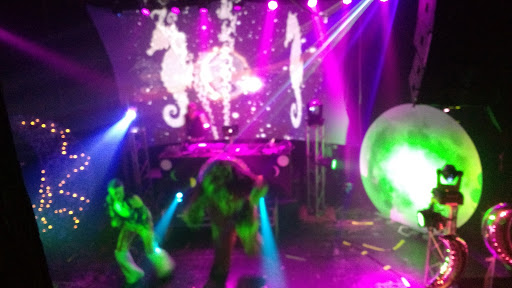 Live Music Venue «Studio Seven», reviews and photos, 110 S Horton St, Seattle, WA 98134, USA