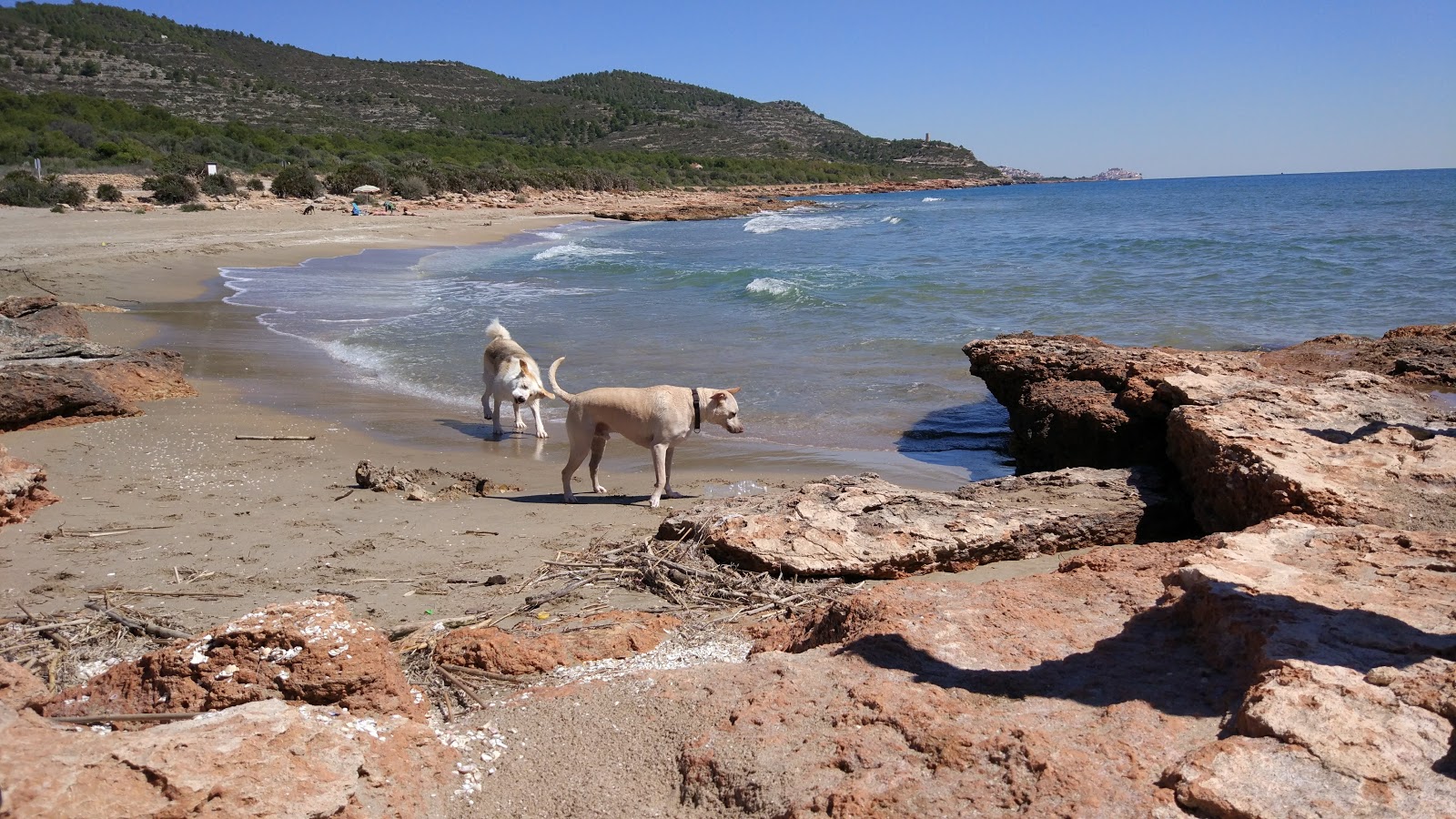 Foto van Platja del Russo met hoog niveau van netheid