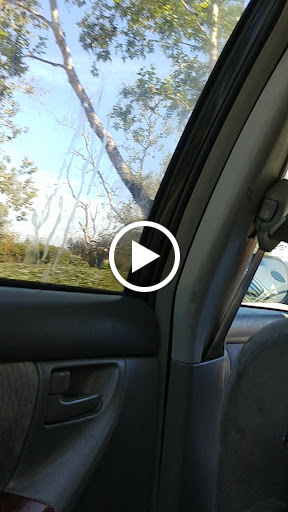 Grocery Store «Albertsons», reviews and photos, 30241 Street of the Golden Lantern, Laguna Niguel, CA 92607, USA