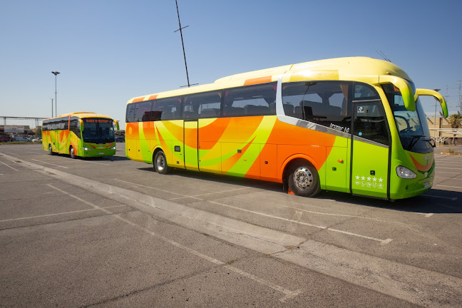 Opiniones de Buses Aries Tour en Quinta Normal - Servicio de transporte