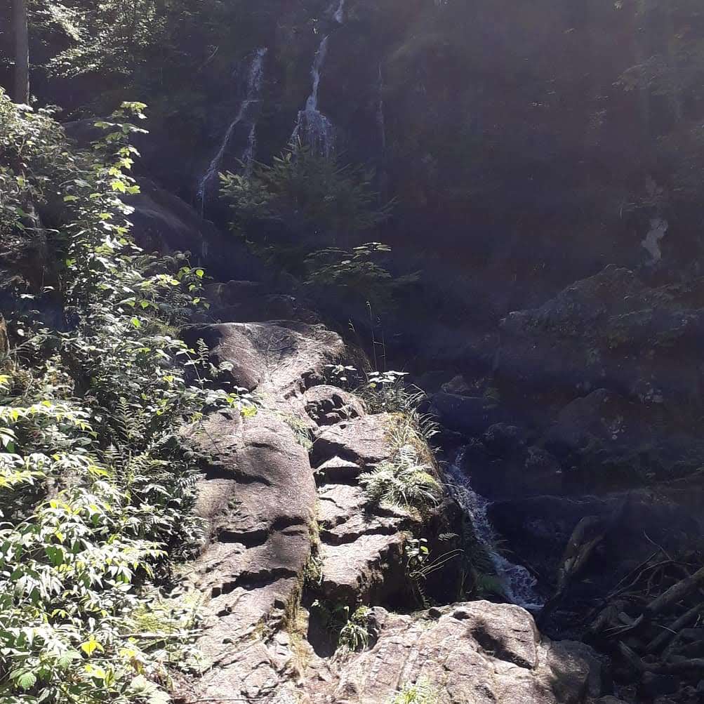 Photo n° 12 de l'avis de Pascal.O fait le 16/07/2019 à 14:03
