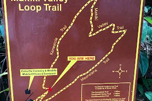 Makiki Valley Trail image