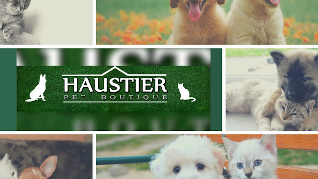 Opiniones de Haustier Pet boutique en El Monte - Tienda
