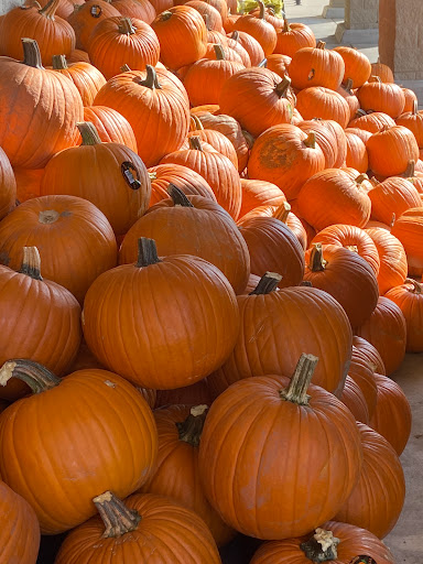 Grocery Store «Albertsons», reviews and photos, 210 W Katherine P Raines Rd, Cleburne, TX 76033, USA