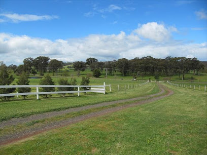 BreenBurn Alpacas