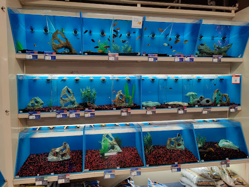 Pet Supply Store «PetSmart», reviews and photos, 351 Loucks Rd, York, PA 17404, USA