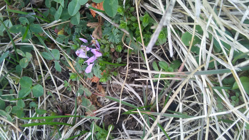 Park «Stout Field Park», reviews and photos, 3820 W Bradbury Ave, Indianapolis, IN 46241, USA