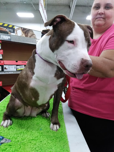 Home Improvement Store «Tractor Supply Co.», reviews and photos, 6818 S Scatterfield Rd, Anderson, IN 46013, USA