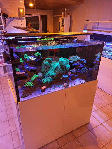 Riff-Aquaristik-Lange unter Langerwehe, 
