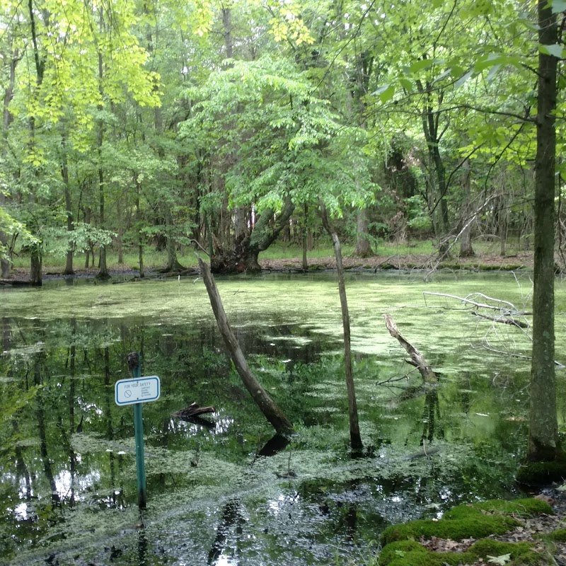 Rust Nature Sanctuary