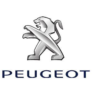 PEUGEOT - FD AUTOMOBILES Rte de Paris, 89140 Pont-sur-Yonne, France