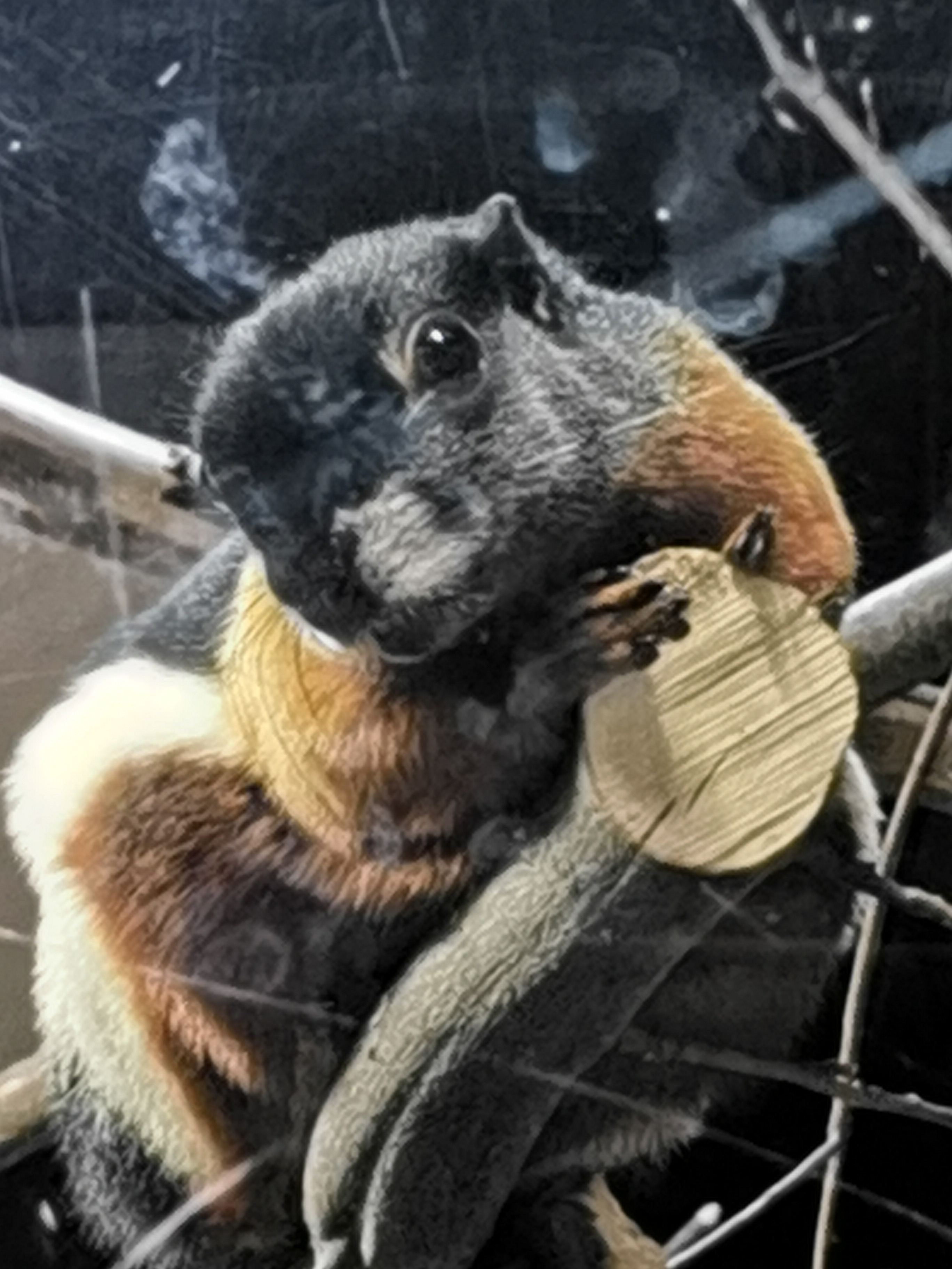 Photo n° 1 de l'avis de Bianca.a fait le 05/06/2022 à 15:50