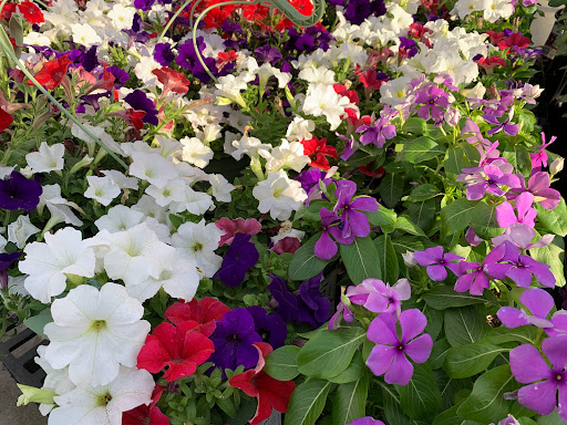 Department Store «Walmart Supercenter», reviews and photos, 350 Robert Smalls Pkwy, Beaufort, SC 29906, USA