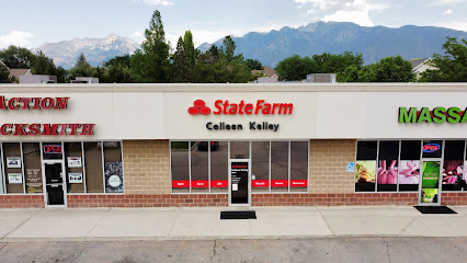 Colleen Kelley - State Farm Insurance Agent