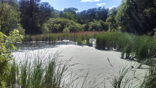Park «Theodore Wirth Regional Park», reviews and photos, 1339 Theodore Wirth Pkwy, Golden Valley, MN 55422, USA