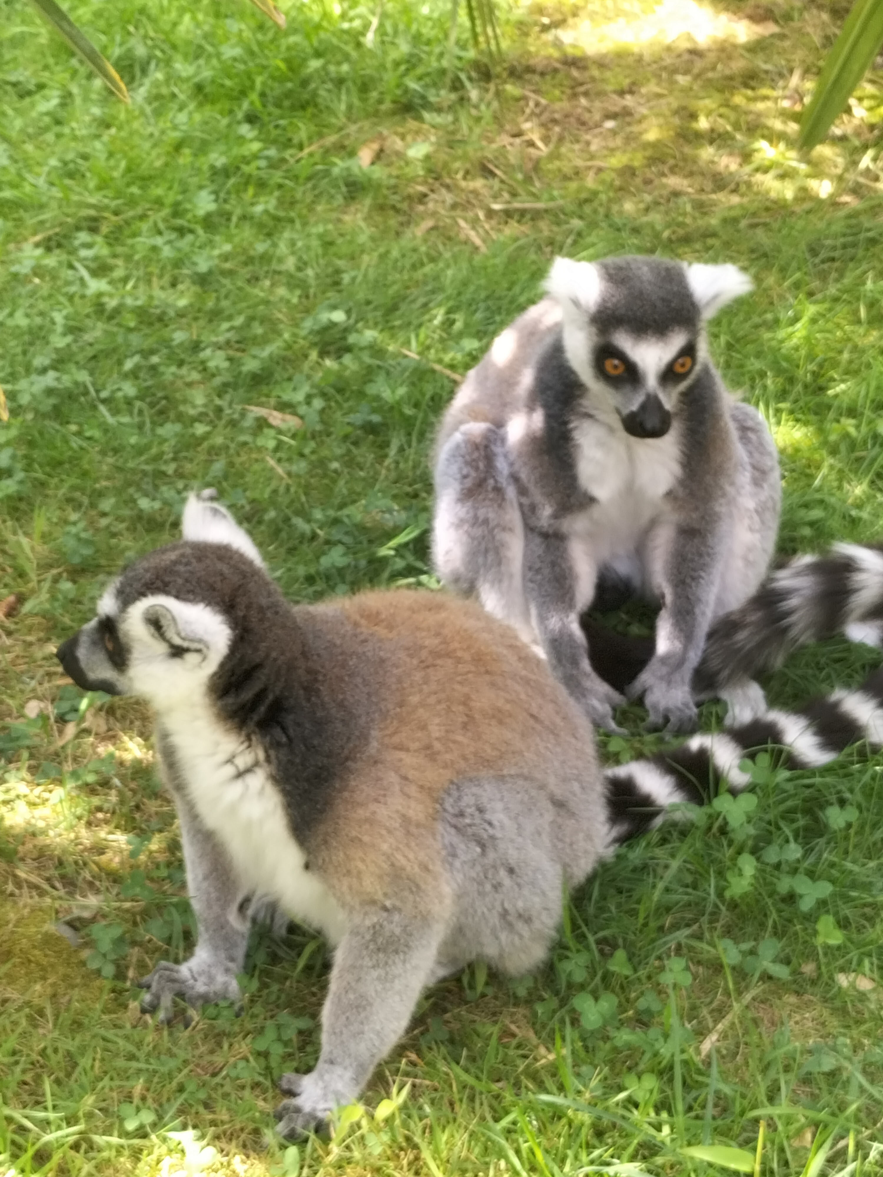 Photo n° 4 de l'avis de Alaska. fait le 26/08/2023 à 16:58