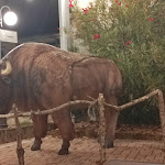 Photo n°1 de l'avis de Maurizio.e fait le 29/08/2022 à 15:41 sur le  Hotel Villa Camporosso à Colà