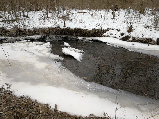 Nature Preserve «Hoover Forest Preserve», reviews and photos, 11285 W Fox Rd, Yorkville, IL 60560, USA