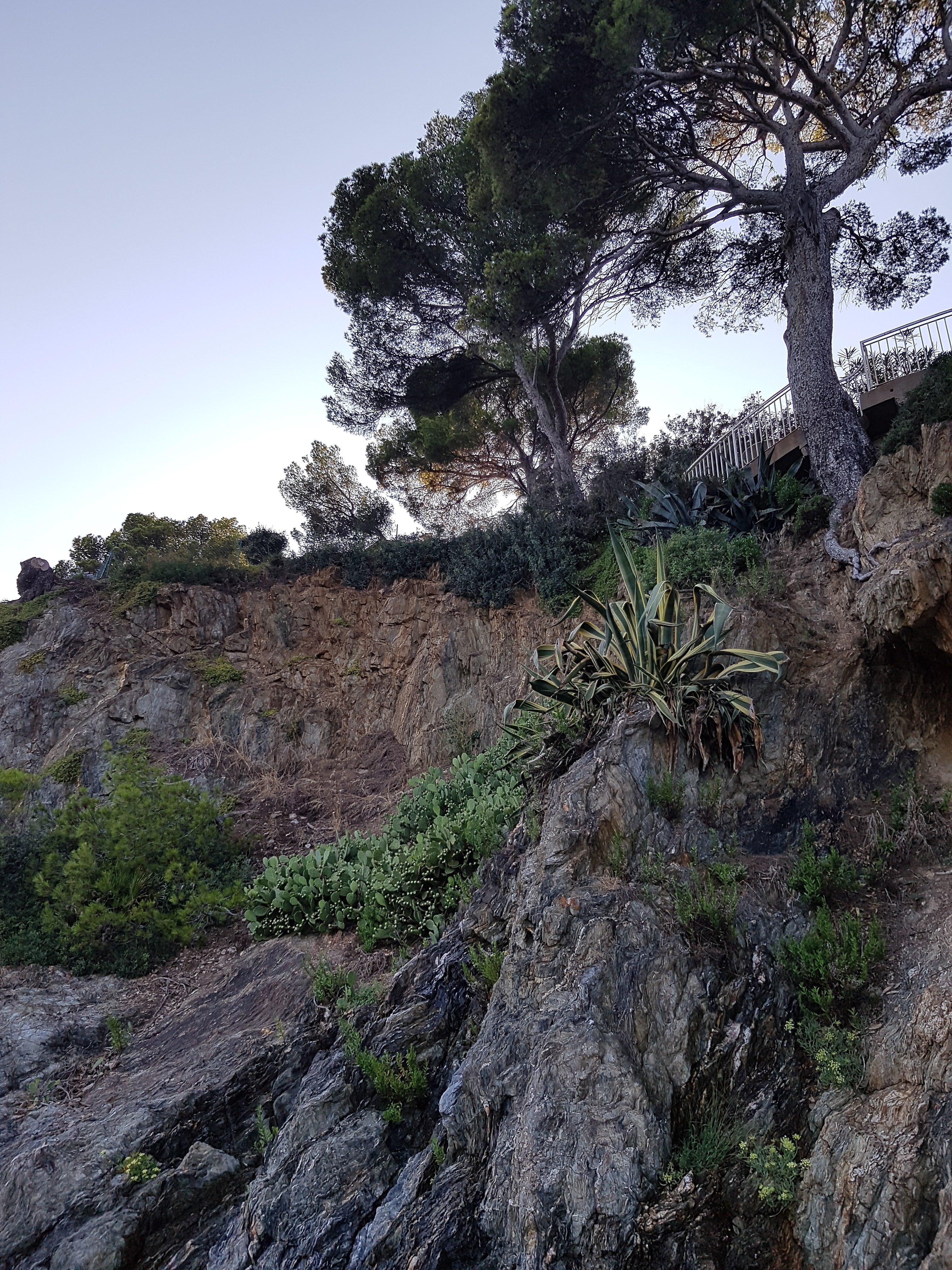 Photo n° 2 de l'avis de jonathan.o fait le 16/08/2018 à 18:56