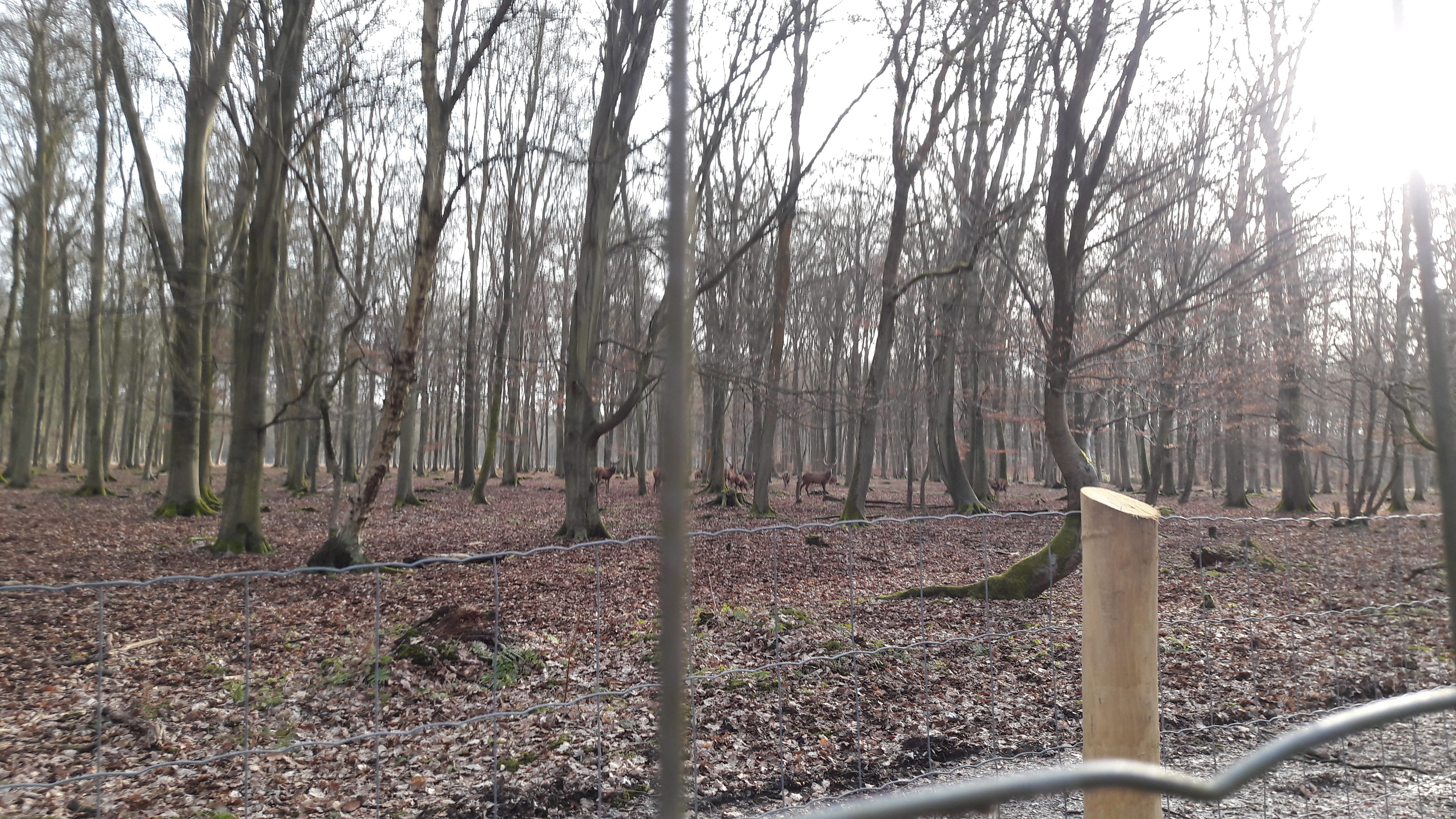 Photo n° 5 de l'avis de Cathy.A fait le 13/02/2019 à 08:02