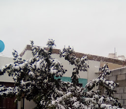 Loma Real II photo