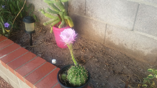 Thrift Store «Deseret Industries Thrift Store», reviews and photos